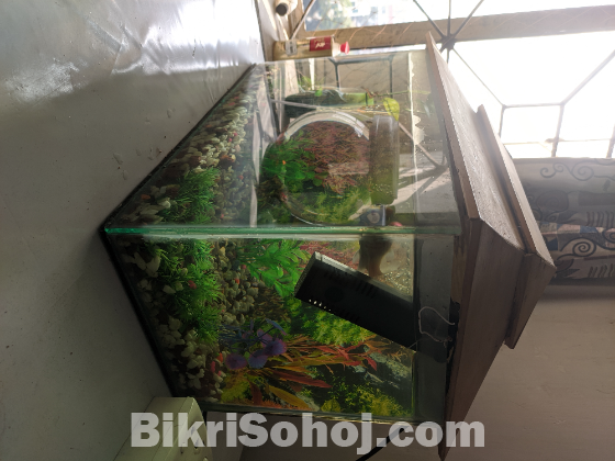 Fish Aquarium